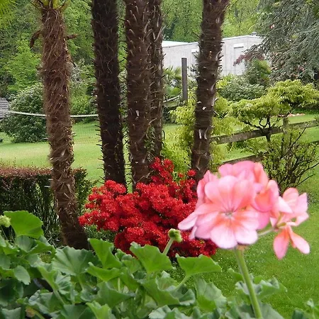 Appart hôtel Garni Siesta Park Losone