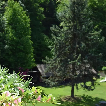 Garni Siesta Park Aparthotel Losone