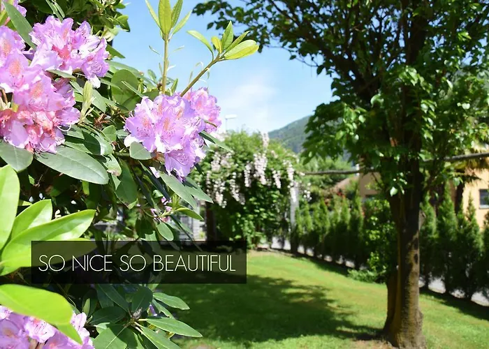 Siesta, Park & Pool Living Ξενοδοχείο με διαμερίσματα