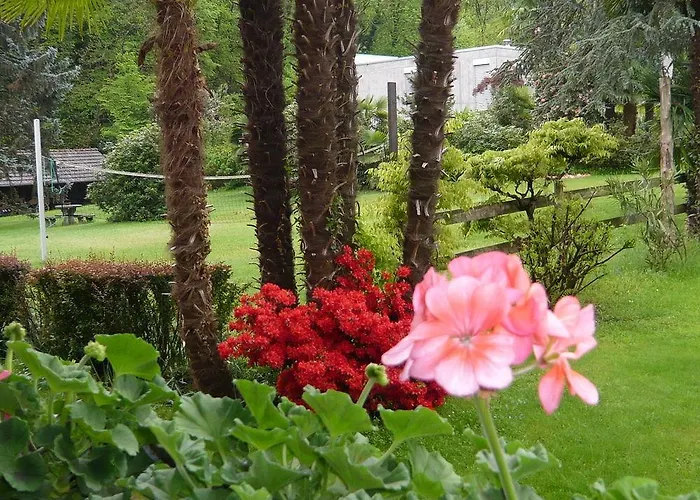 Aparthotel Siesta, Park & Pool Living Losone