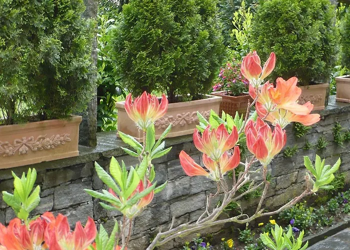 Ξενοδοχείο με διαμερίσματα Siesta, Park & Pool Living