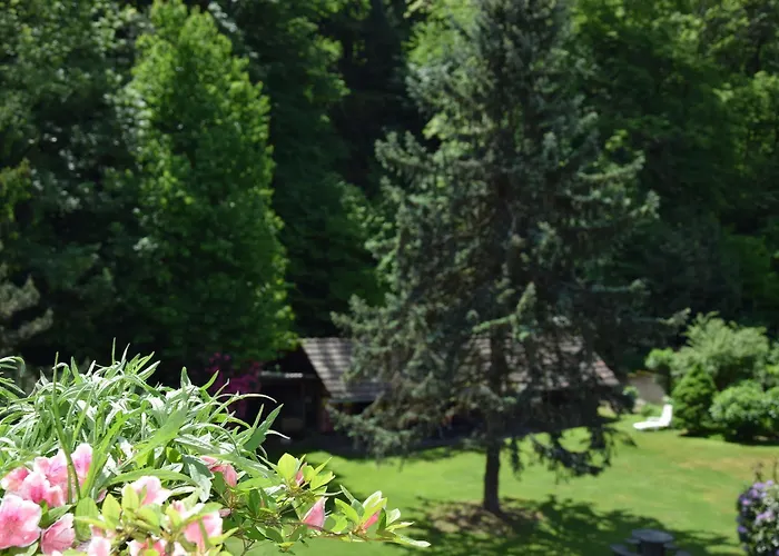 Siesta, Park & Pool Living Ξενοδοχείο με διαμερίσματα Losone