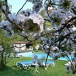 Siesta, Park & Pool Living 3* Losone
